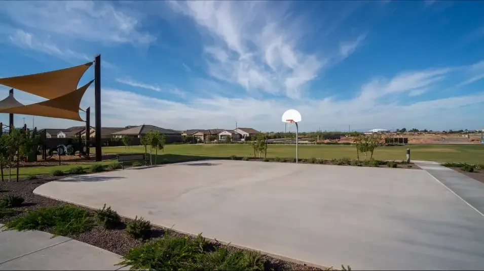 Basketball court